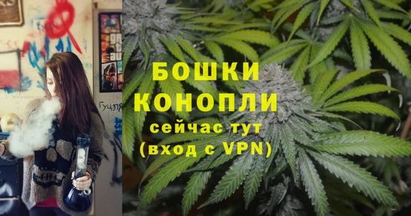 соль ск Новодвинск