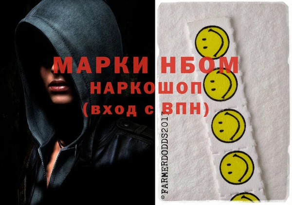 соль ск Новодвинск