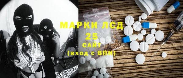 соль ск Новодвинск