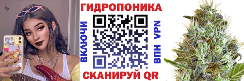 мориарти официальный сайт  Алзамай  МАРИХУАНА сатива 